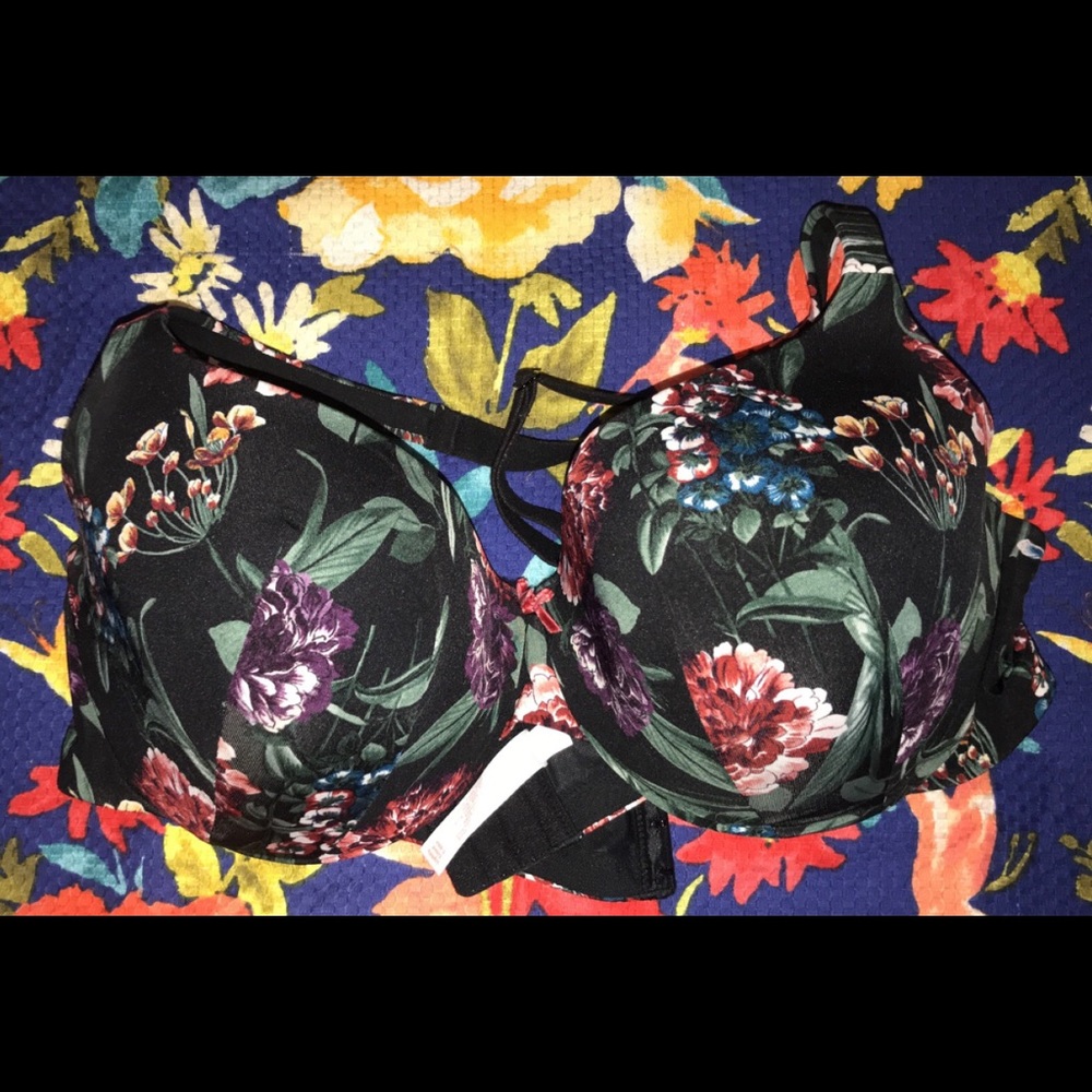 Cacique padded bra